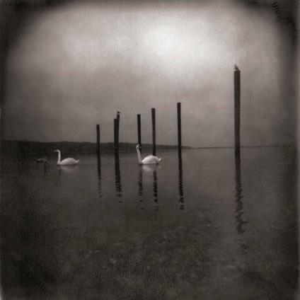 Conference Of The Birds - CD Audio di OM