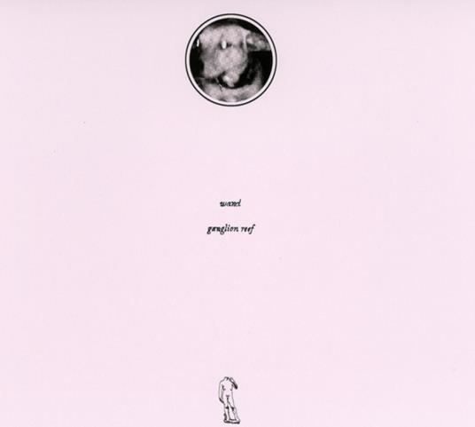 Ganglion Reef - CD Audio di Wand - 2