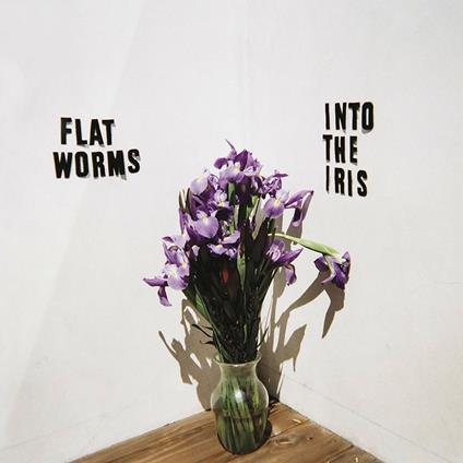 Into the Iris - CD Audio di Flat Worms