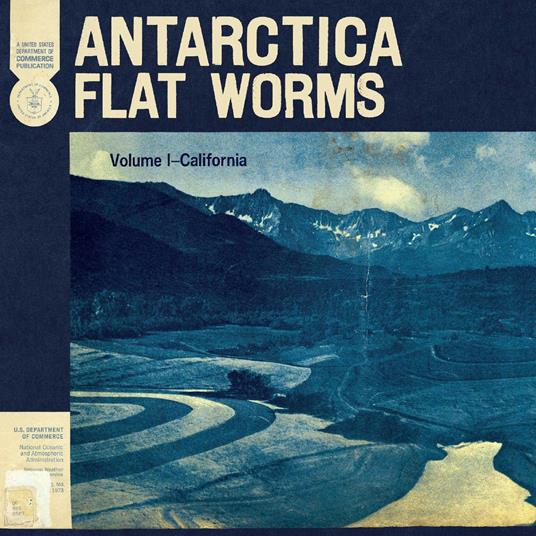 Antarctica - Vinile LP di Flat Worms