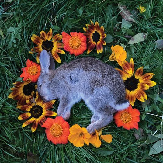 Your Time To Shine (Neon Orange Vinyl) - Vinile LP di Monolord