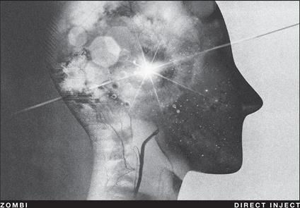 Direct Inject - CD Audio di Zombi