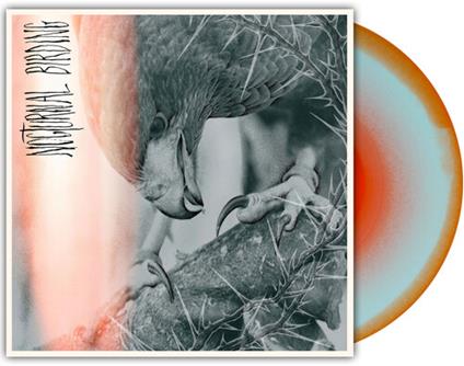 Nocturnal Birding (Coloured Vinyl) - Vinile LP di Author & Punisher