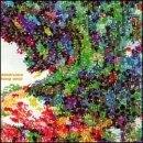 Feng Shui - CD Audio di Doldrums