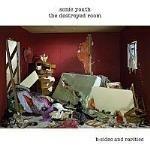 Destroyed Room. B-Sides and Rarities