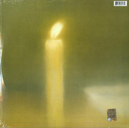 Daydream Nation - Vinile LP di Sonic Youth - 2