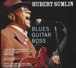 Blues Guitar Boss