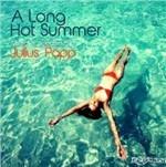A Long Hot Summer - CD Audio