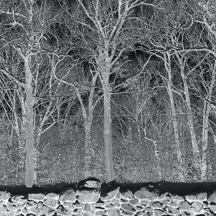 Sunshine And Balance Beams - CD Audio di Pile