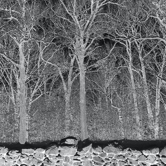 Sunshine And Balance Beams - CD Audio di Pile