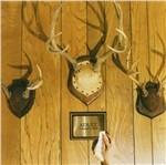Gimmie Trouble - CD Audio di Adult