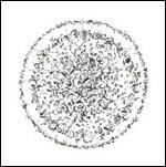 Occupied with the Unspoken - CD Audio di Golden Retriever