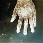 Night of Your Ascension - CD Audio di Wrekmeister Harmonies