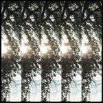 Dialectic of Ignorance - Vinile LP di Pontiak
