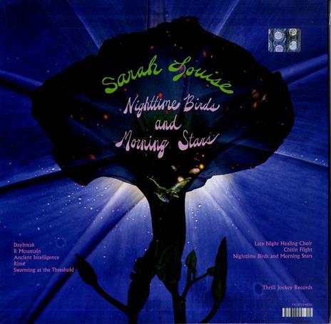 Nighttime Birds and Morning Stars - Vinile LP di Sarah Louise - 2
