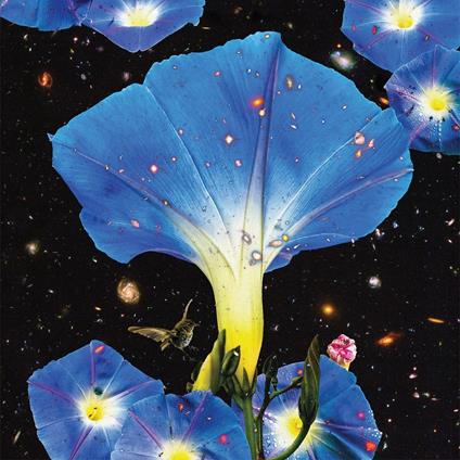 Nighttime Birds and Morning Stars - CD Audio di Sarah Louise