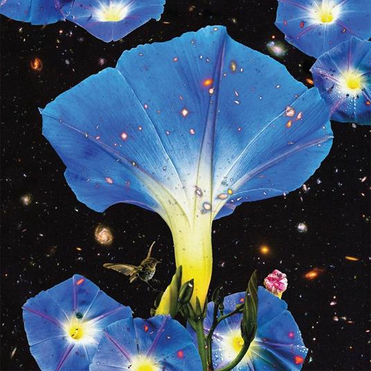 Nighttime Birds and Morning Stars - CD Audio di Sarah Louise