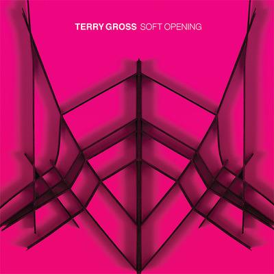 Soft Opening - Vinile LP di Terry Gross