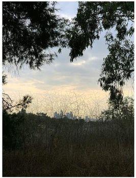 Arroyo - Vinile LP di Jon Porras