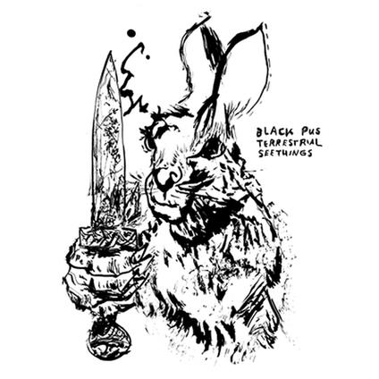 Terrestrial Seethings - CD Audio di Black Pus
