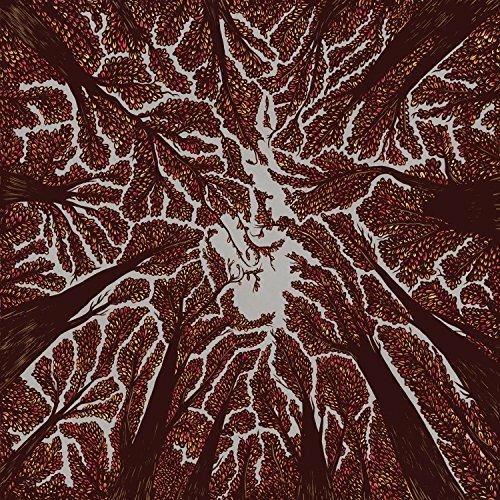 Crown Shyness - CD Audio di Trash Boat
