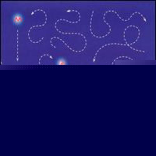 Taste - CD Audio di Mark Robinson