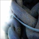 The Terrestrial Sea - CD Audio di Mark Lyken