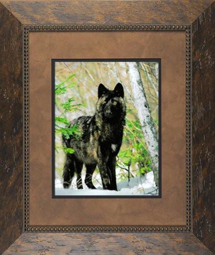 Seven - CD Audio di Seven