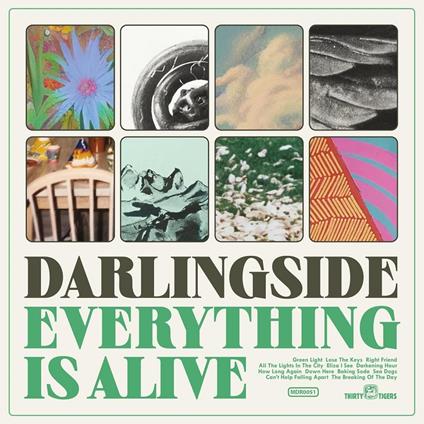Everything Is Alive - Vinile LP di Darlingside