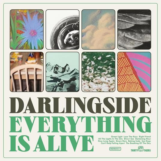 Everything Is Alive - CD Audio di Darlingside