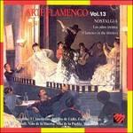 Arte Flamenco vol.13 - CD Audio