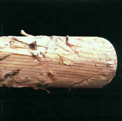 The Visit - CD Audio di A1 People