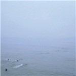 Sky's Run Into the Sea - CD Audio di Growing