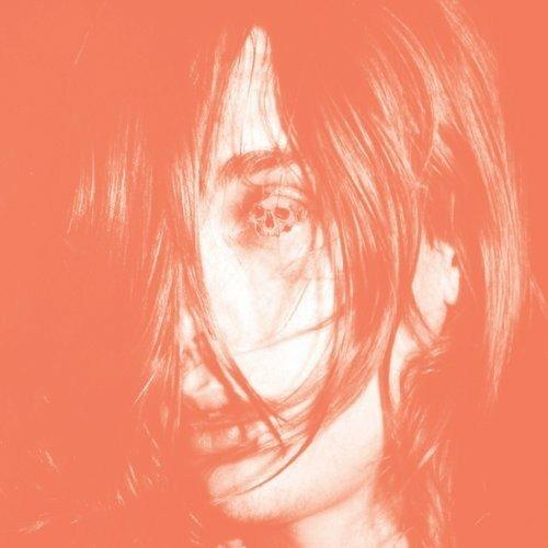 Microcastle - CD Audio di Deerhunter