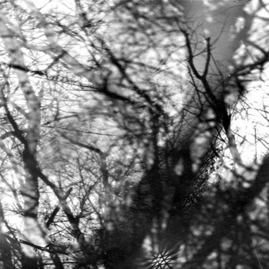 Way Their Crept - Vinile LP di Grouper