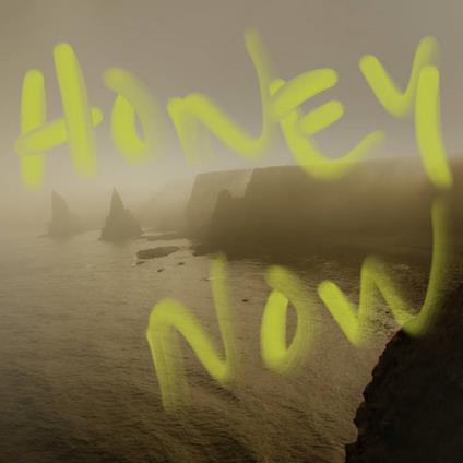 Honey Now - CD Audio di Neon Waltz