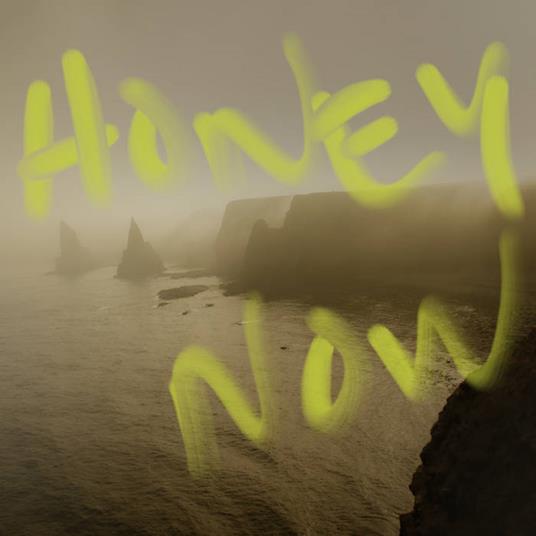 Honey Now - CD Audio di Neon Waltz