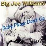Baby Please Don't go - CD Audio di Big Joe Williams
