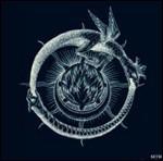 Les Blessures De L'Ame (Clear Vinyl) - Vinile LP di Seth