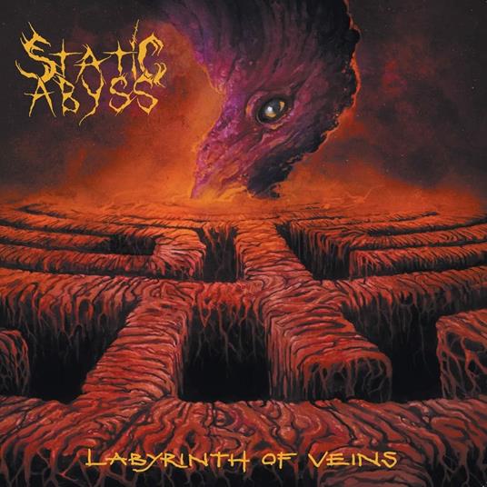 Labyrinth Of Veins - Vinile LP di Static Abyss