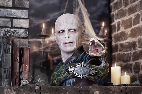 Harry Potter Bust Lord Voldemort 31 cm - 6