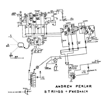 Strings+feedback - CD Audio di Andrew Pekler