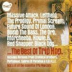 This is the Best of Trip Hop