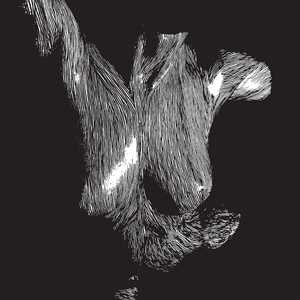 CD Self-Preserved While The Bodies Float Up Oceansize