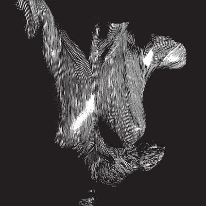 Self-Preserved While The Bodies Float Up - CD Audio di Oceansize