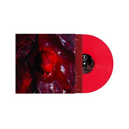 Not Here Not Gone (Transparent Red Vinyl) - Vinile LP di Blackwater Holylight