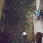 Harm Starts Here - CD Audio di Palehorse