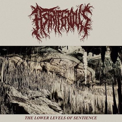 Lower Levels Of Sentience - CD Audio di Astriferious