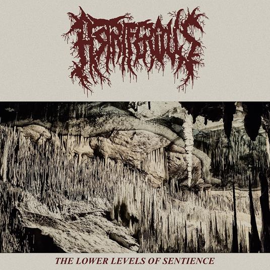 Lower Levels Of Sentience - CD Audio di Astriferious