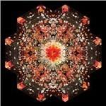 Half of Where You Live - Vinile LP di Gold Panda